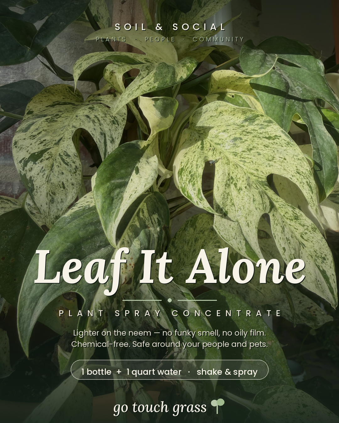 Leaf It Alone Foliage Spray Concentrate