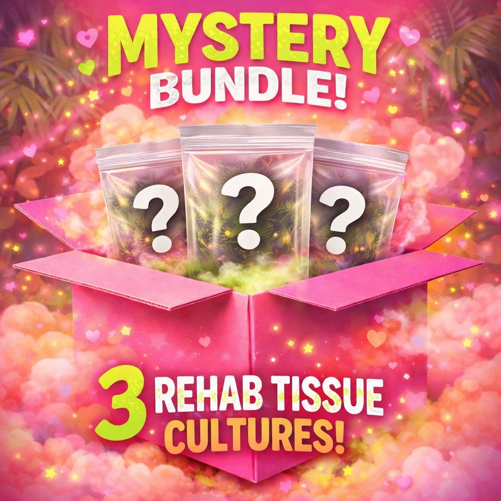Mystery Rehab Tissue Culture Bundle Grower's Choice